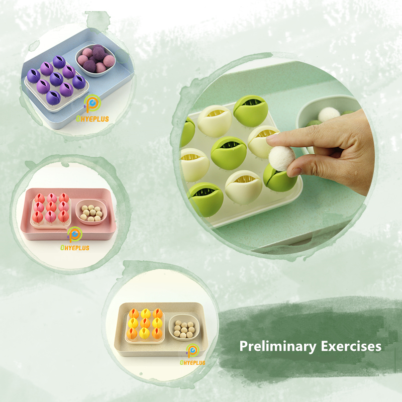Montessori Educational Toys Ba - Kids Educational Game 3 reseña y precio