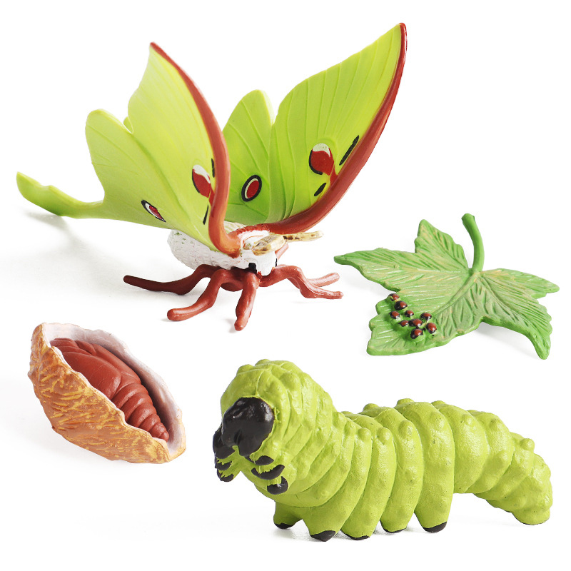 Kids Cognitive Educational Toy - Kids First Education reseña y precio