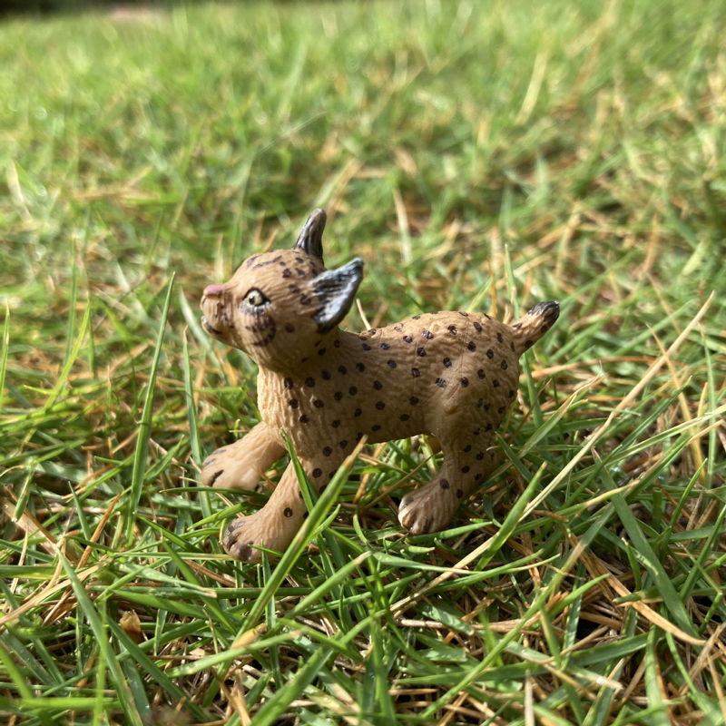 Realistic Animal Toy Model Min - Kids First Education reseña y precio