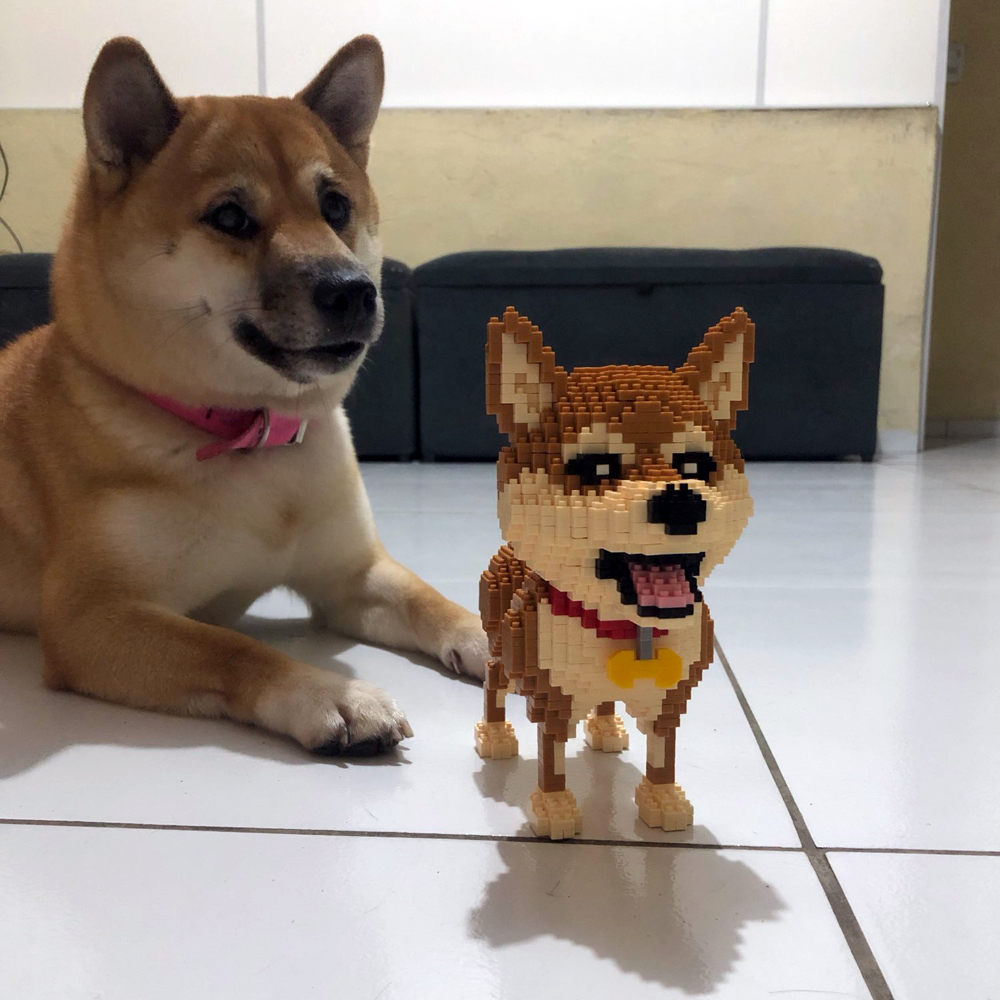 KNEW BUILT Shiba Inu Dogs Mode - Kids Education And Recreation reseña y precio