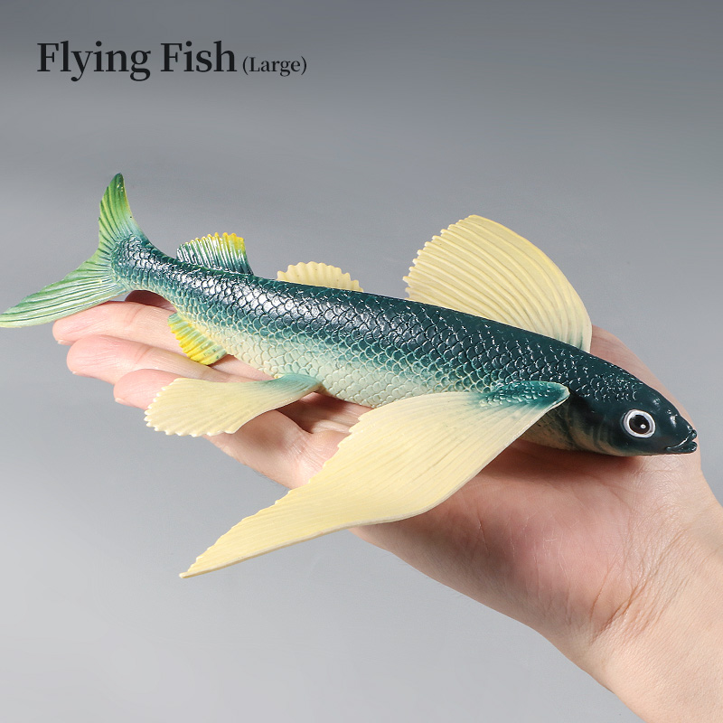 Ocean Marine Animal Underwater - Kids First Education reseña y precio