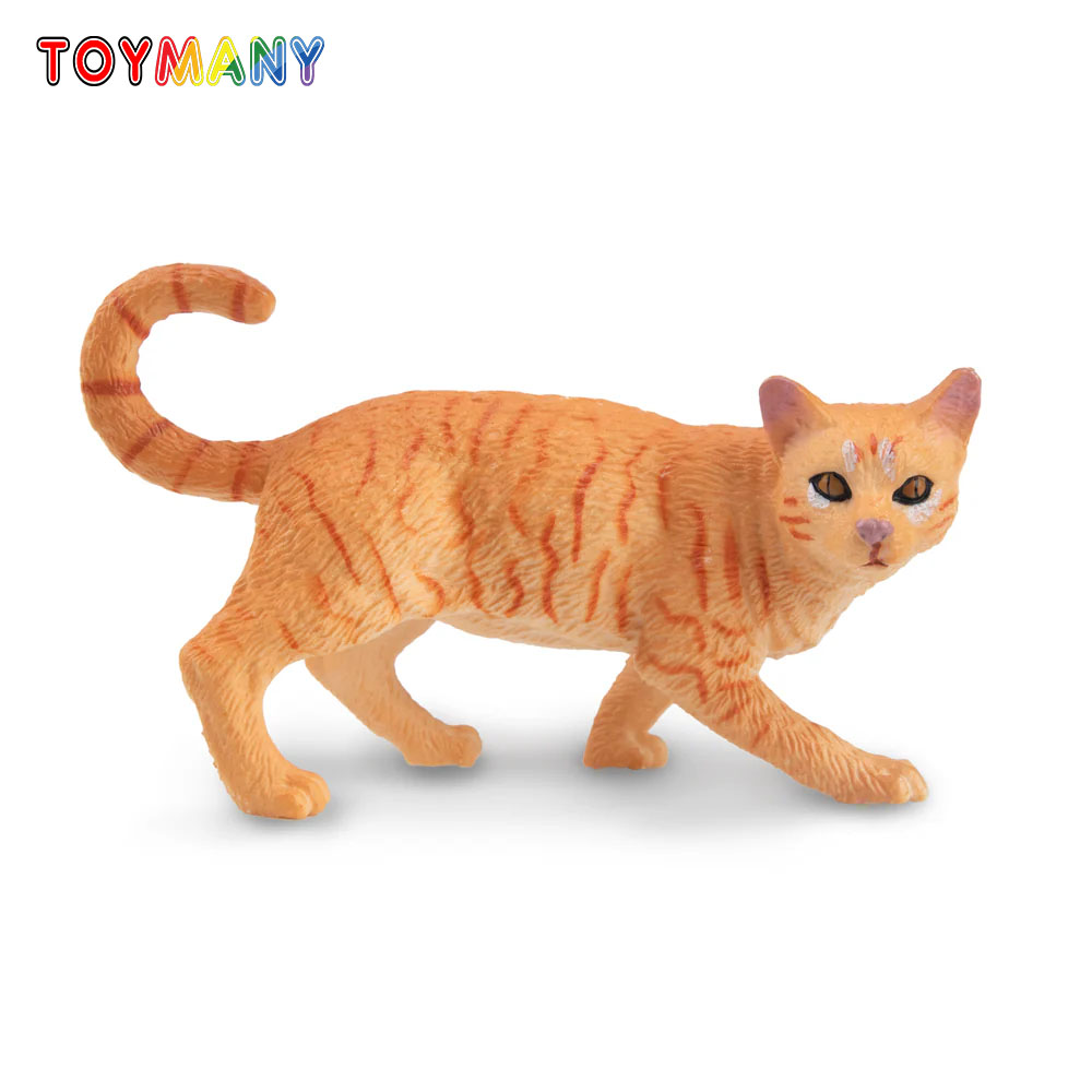 Toymany Simulation Striding Or - Kids First Education reseña y precio