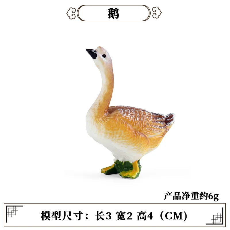 Education Teaching Tool Poultr - Kids First Education reseña y precio