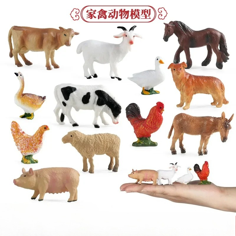 Education Teaching Tool Poultr - Kids First Education reseña y precio