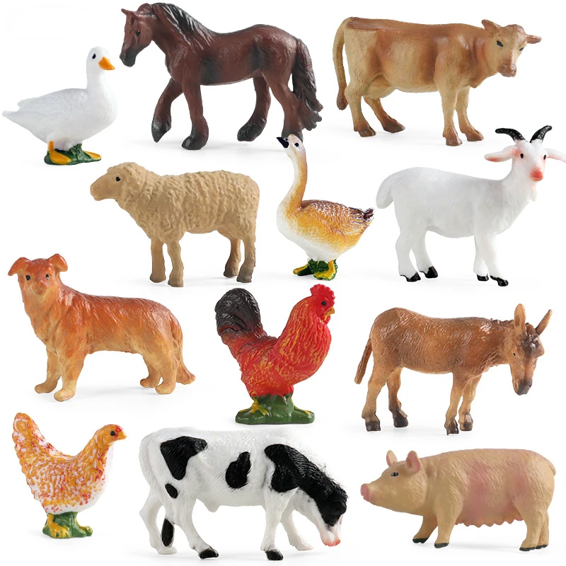 Education Teaching Tool Poultr - Kids First Education reseña y precio