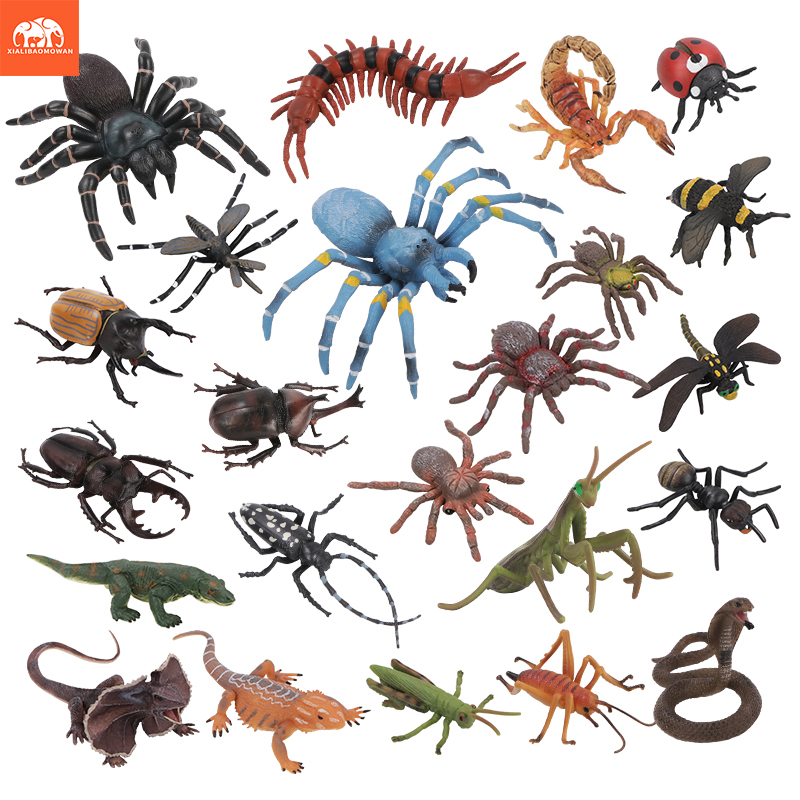 Educational Simulation Insect  - Kids First Education reseña y precio