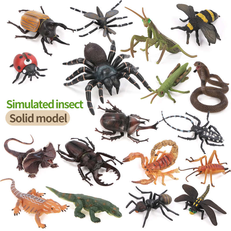 Educational Simulation Insect  - Kids First Education reseña y precio